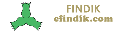 Karadenizin İncisi Fındık